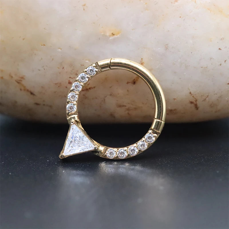 F136 Titanium Piercing Clicker Segment Hoop Nose Rings Earrings Nose Septum Piercing Ear Tragus Cartilage Helix Lip Ear Piercing
