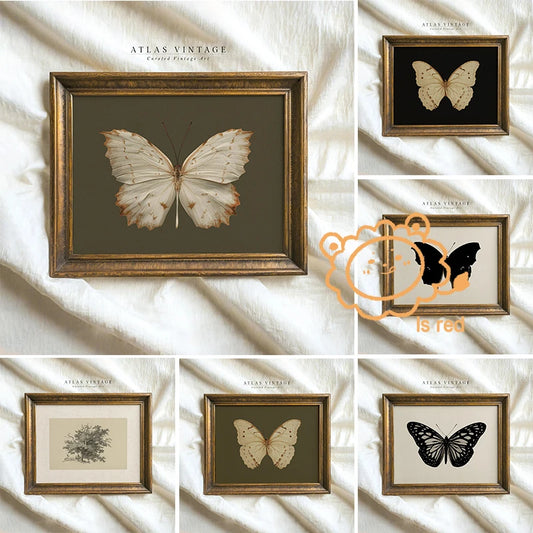 Vintage Butterfly Etching Print Poster Gothic Black and White Art  Moody Dark Academia Canvas printing wall decoration for home