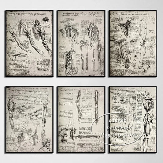 Da Vinci Anatomy Manuscript Sketche Vintage Posters and Prints Canvas Painting Retro Wall Art Picture for Living Room Home Decor