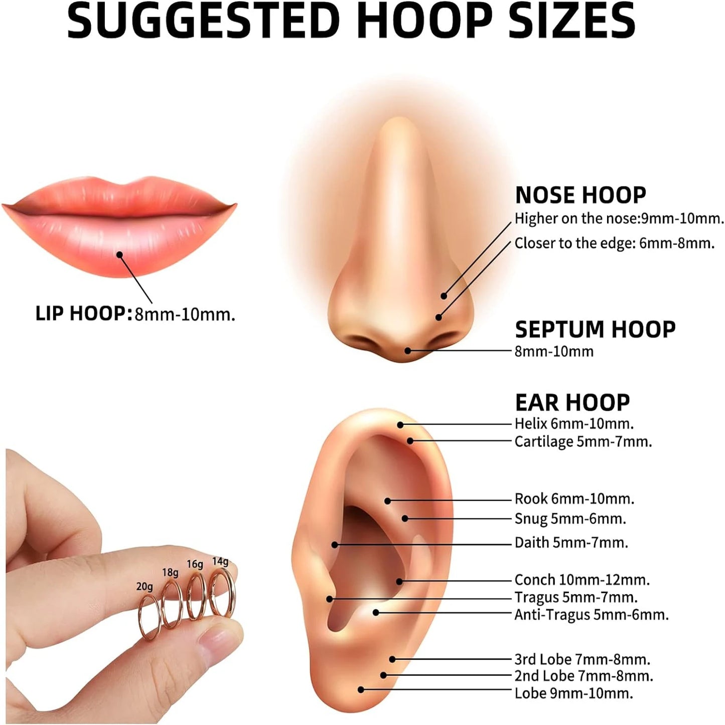 1-3PCS Hinged Nose Ring Hoop Septum Hoop  Ring Tragus Rook Ring Piercing Jewelry Lip Labret Ring Clicker Cartilage Earrings